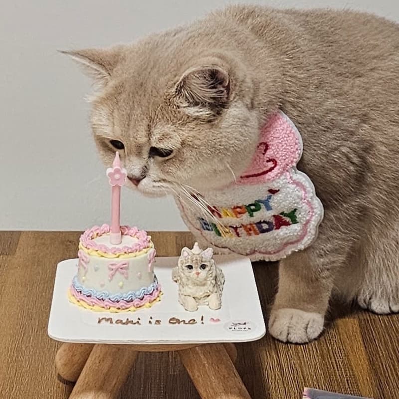 Maki is one year old