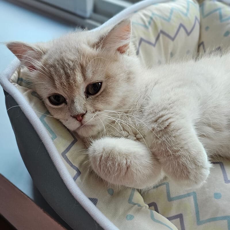 First day home