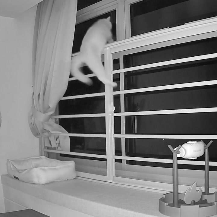 First time at the top of my room